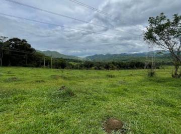 Imagem 1 · Fazenda