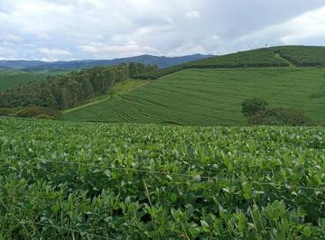 Imagem 1 · Fazenda