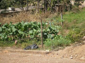 Imagem 1 · Terreno