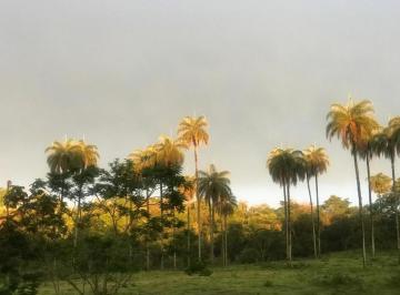 Imagem 1 · Terreno