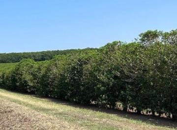 Imagem 1 · Fazenda para venda em Área Rural de Garça, Garça