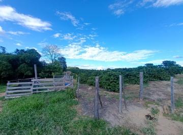 Imagem 1 · Sítio para venda em Centro, Nepomuceno