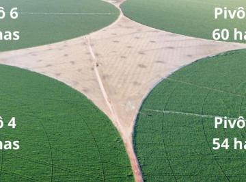 Imagem 1 · Fazenda para venda em Área Rural de Paracatu, Paracatu