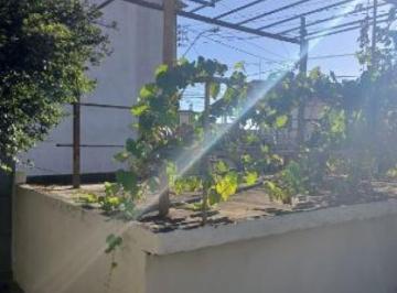 Imagem 1 · Casa