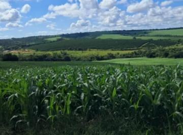 Imagem 1 · Fazenda