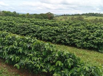 Imagem 1 · Fazenda para venda em Área Rural de Lavras, Lavras