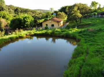 Imagem 1 · Sítio para venda em Carmo do Cajuru