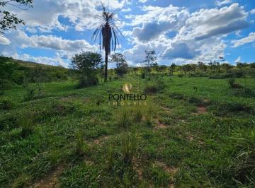 Imagem 1 · Fazenda