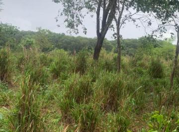 Imagem 1 · Fazenda