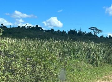 Imagem 1 · Fazenda