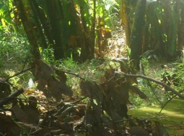 Imagem 1 · Terreno