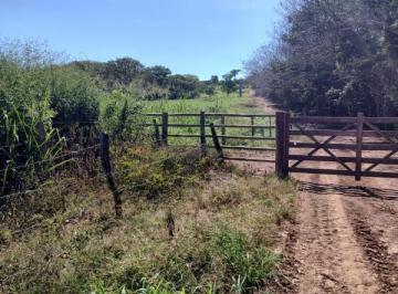 Imagem 1 · Fazenda