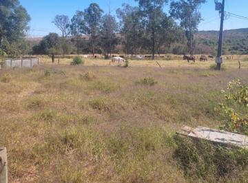 Imagem 1 · Fazenda