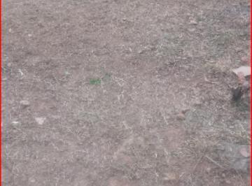 Imagem 1 · Terreno
