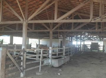 Imagem 1 · Fazenda para venda em Área Rural de Itaúna, Itaúna