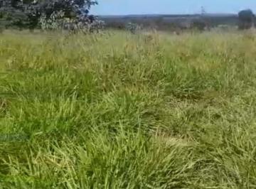 Imagem 1 · Chácara