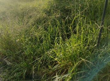 Imagem 1 · Terreno