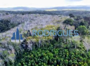 Imagem 1 · Fazenda