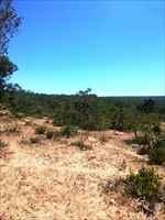 Imagem 1 · Terreno