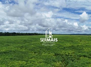 Imagem 1 · Fazenda