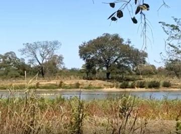 Imagem 1 · Fazenda para venda em Centro, Pedras de Maria da Cruz