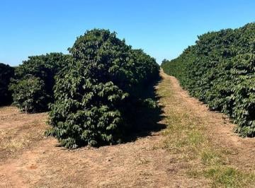 Imagem 1 · Fazenda