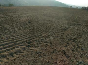 Imagem 1 · Fazenda