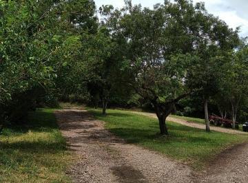 Imagem 1 · Terreno