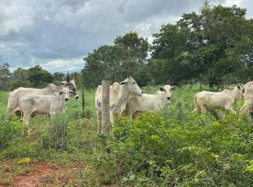 Imagem 1 · Fazenda para venda em Centro, Corinto