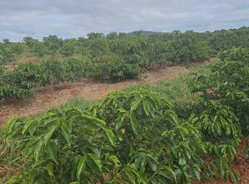Imagem 1 · Fazenda para venda em Centro, Campanha
