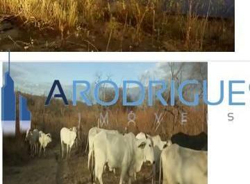 Imagem 1 · Fazenda