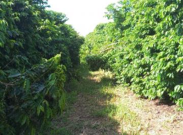 Imagem 1 · Fazenda para venda em Centro, Campanha