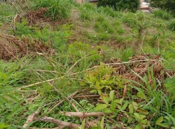Imagem 1 · Terreno