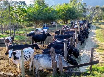 Imagem 1 · Fazenda