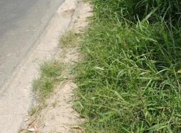 Imagem 1 · Terreno