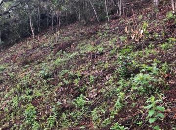 Imagem 1 · Terreno