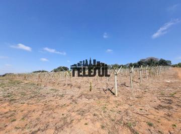 Imagem 1 · Fazenda para venda em Varginha