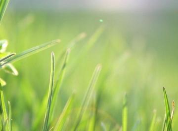 Imagem 1 · Terreno