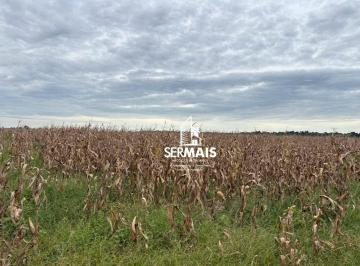 Imagem 1 · Fazenda