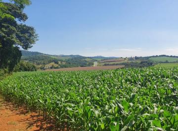 Imagem 1 · Terreno