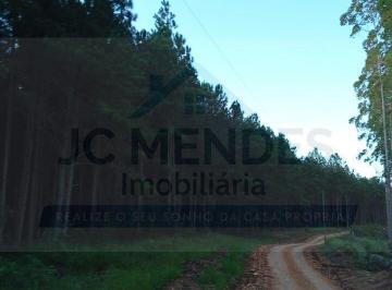 Rural · PINUS SEM TERRA