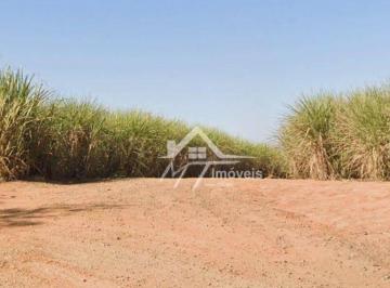 ef392f9e6f23cddda94f6b7b7ce85373a5a193e9 · FAZENDA A VENDA NA REGIÃO DE LIMEIRA - SP