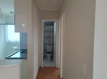 DSC_20260604_065229_000.jpeg · Confortável apartamento para venda em Vila Palmeiras com 2 quartos, 47m² - niezete-gomes1#LYSXX