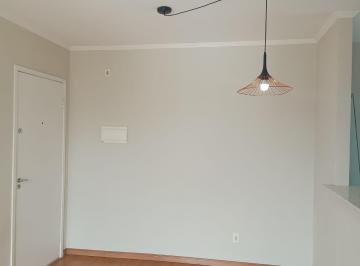 DSC_20260605_105241_000.jpeg · Atraente apartamento para venda em Vila Palmeiras com 2 quartos, 47m² - niezete-gomes1#LYSXX
