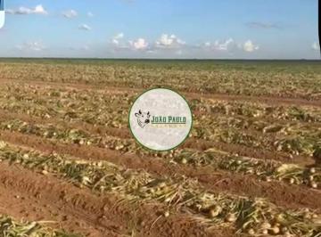Rural , Cristalina · Fazenda a venda em Cristalina - 2.000 Hectares - ÁREA DE PLANTIO 1.200 HECTARES