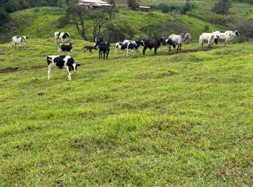Rural , Piracema · Fazenda 27.3 hectares em Piracema MG