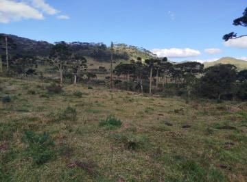 Rural · 
                                Lindo sítio
                            
