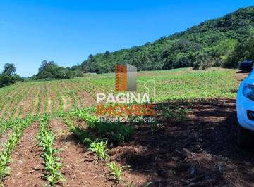 Terreno · 58000m² · Página 1 Imóveis anuncia Sítio/Terreno à Venda em Linha Marcondes, Gramado