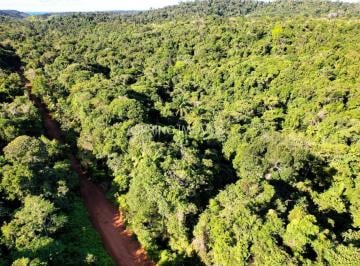 202605181714386663.jpg · Terreno com Rios e Nascentes à Venda em Serra Grande, BA