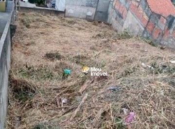 3c8a787fdb84161a50093093c59cb23b36016dba · Terreno Residencial à venda, Pirituba, São Paulo - TE0229.